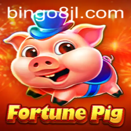 FortunePig: Diving into the World of Bingo8