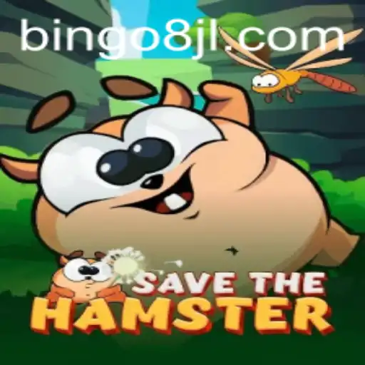 Exploring the Dynamic World of SavetheHamster and Bingo8